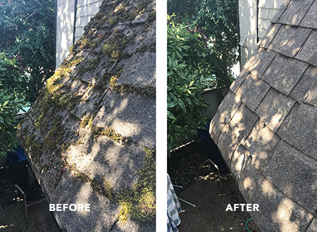 the right side of the roof is treated by our moss removal service. The difference is day and night as you can see.